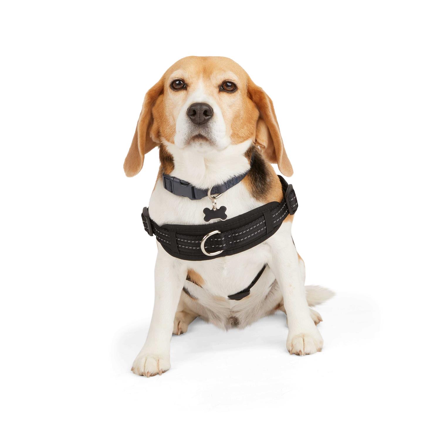 EveryYay Easy On Training Dog Harness