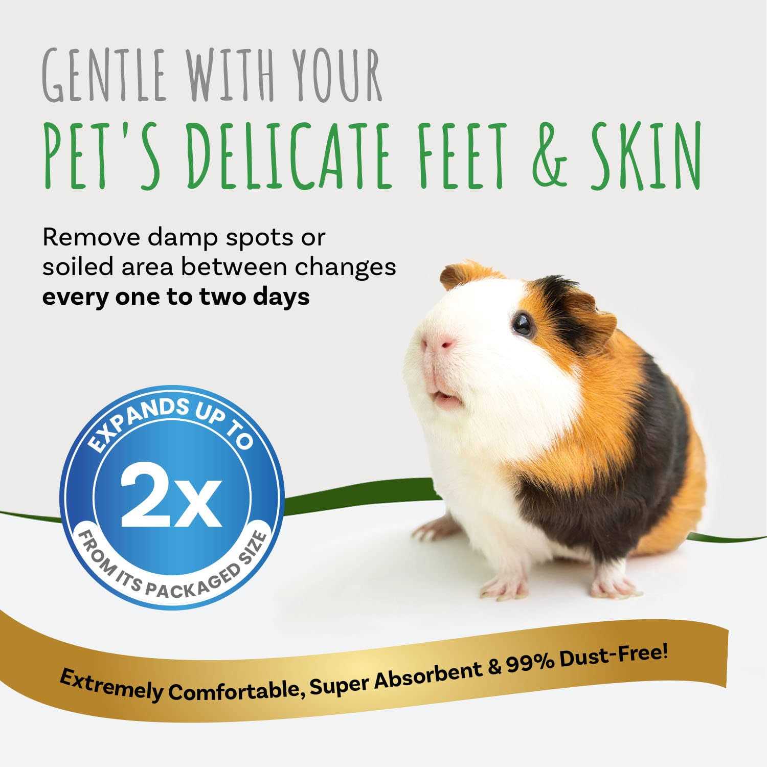 Small Pet Select Aspen Bedding