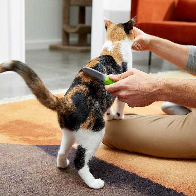 Frisco Single-Row Flea Comb for Cats & Dogs