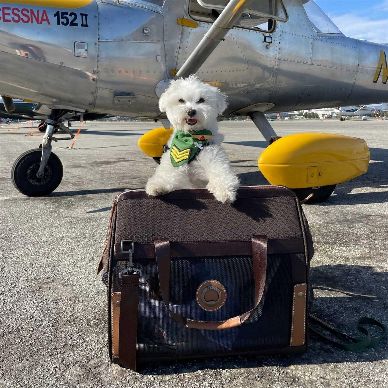 Delsey Chatelet Air 2.0 Pet Carrier
