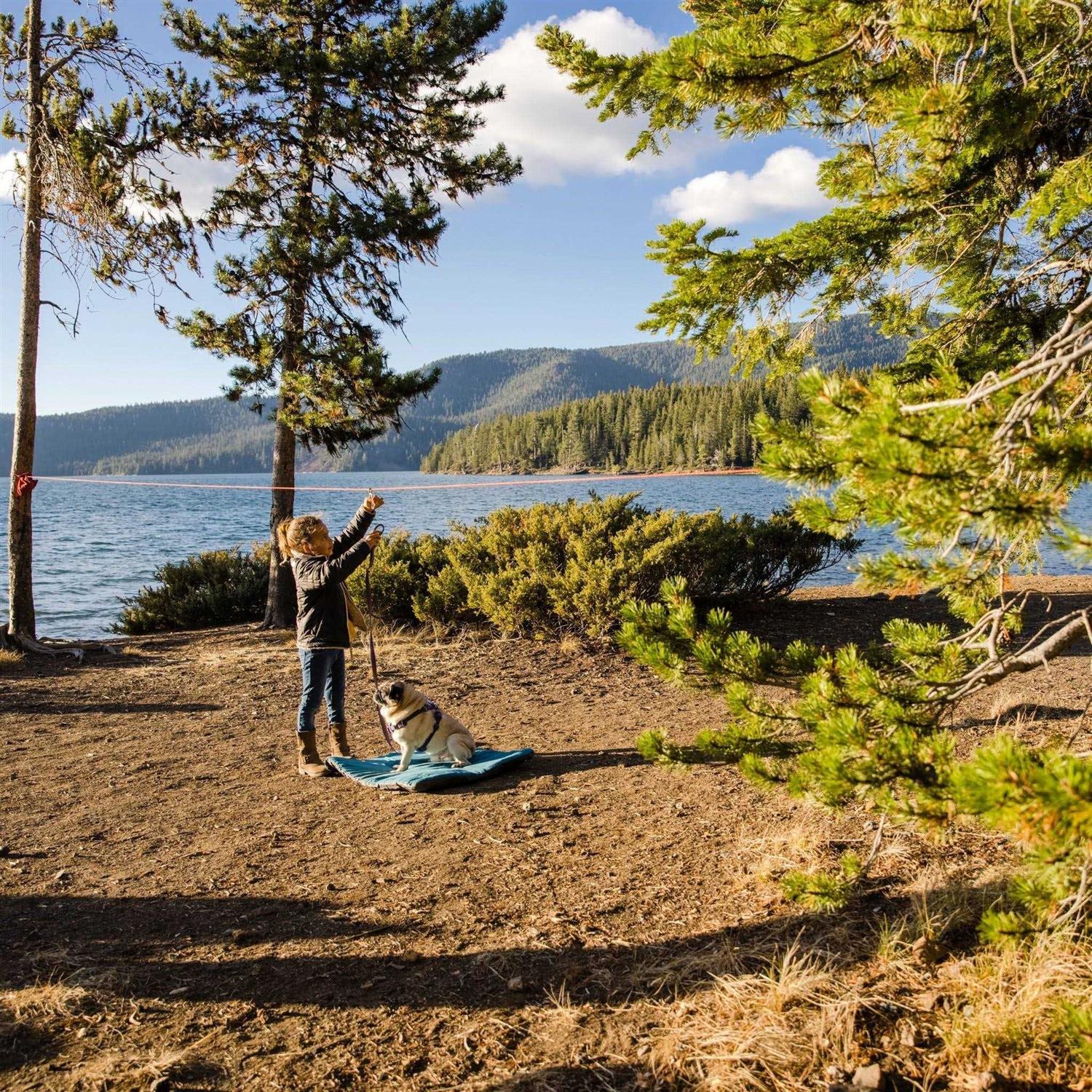 Ruffwear Knot-a-Hitch