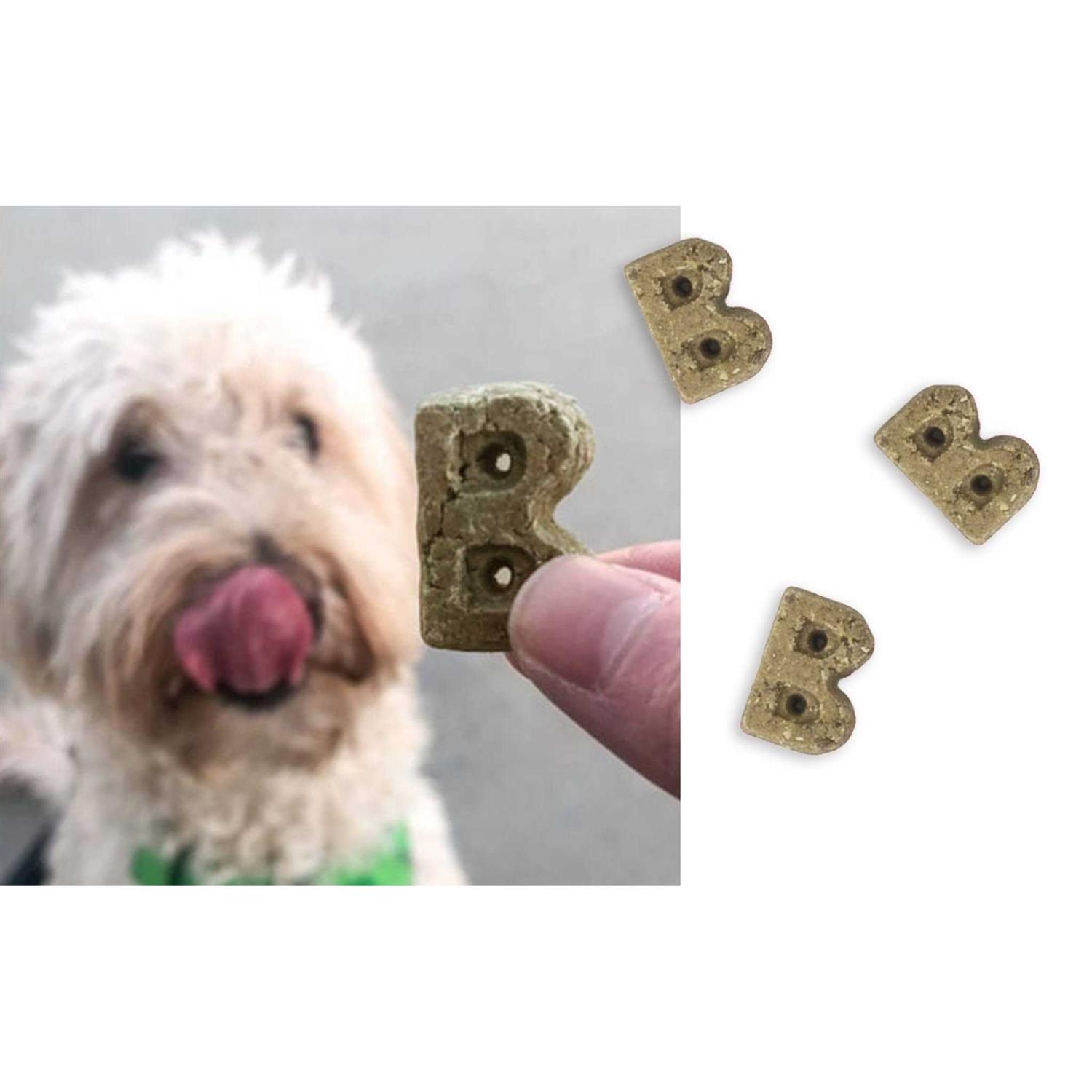 Bocce’s Bakery Brushy Bites Soft & Chewy Dog Treats