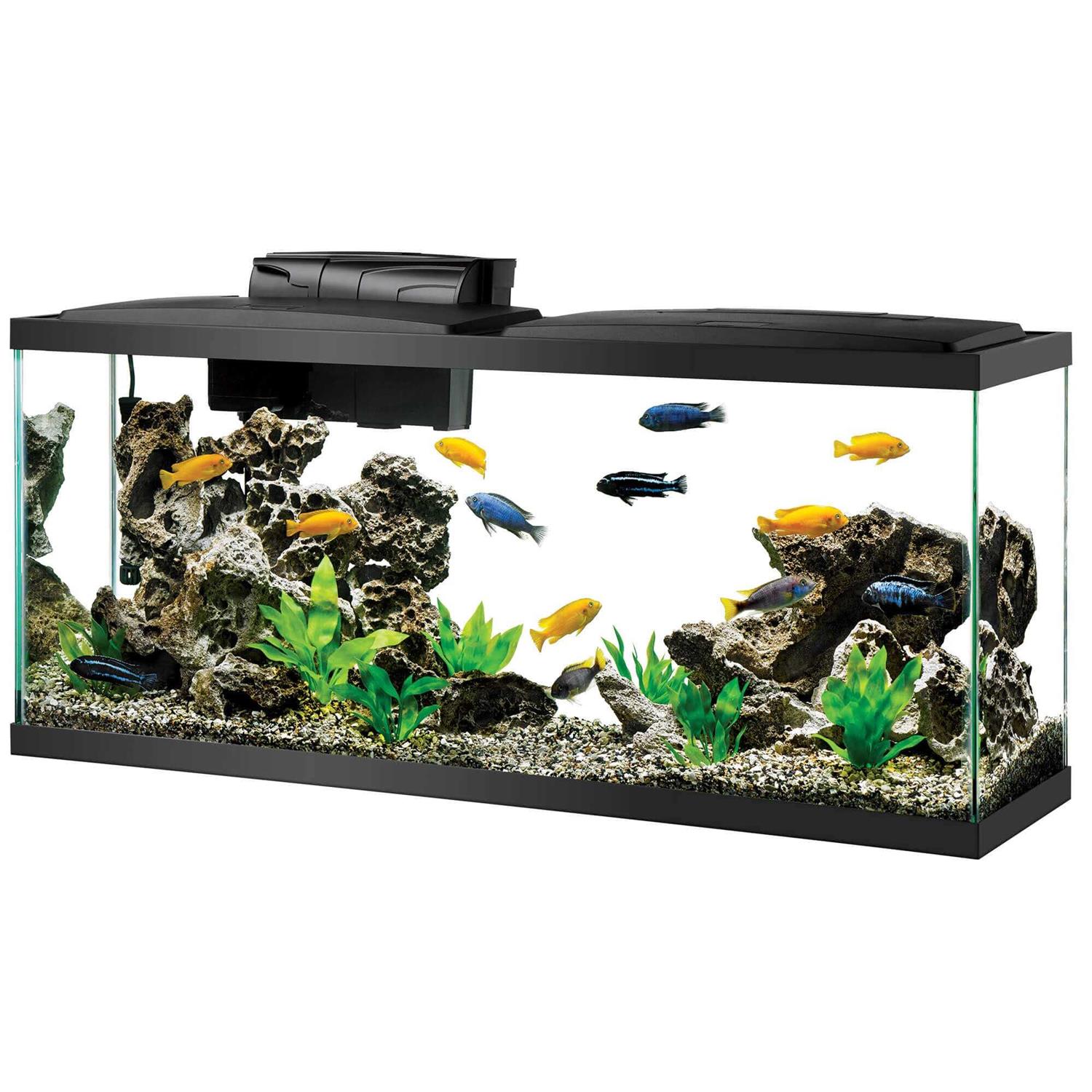 Aqueon Aquarium Kit LED
