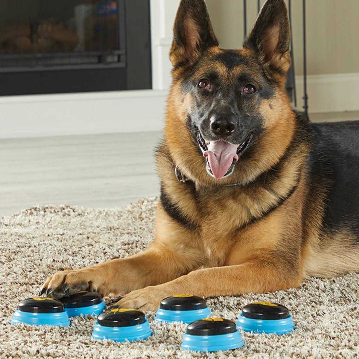 Hunger for Words Talking Pet Essential Words