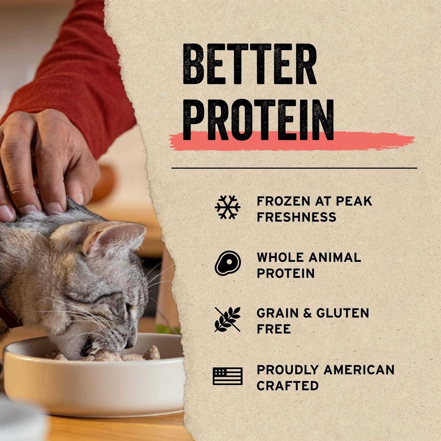 Vital Essentials Entree Mini Nibs Freeze-Dried Raw Cat Food