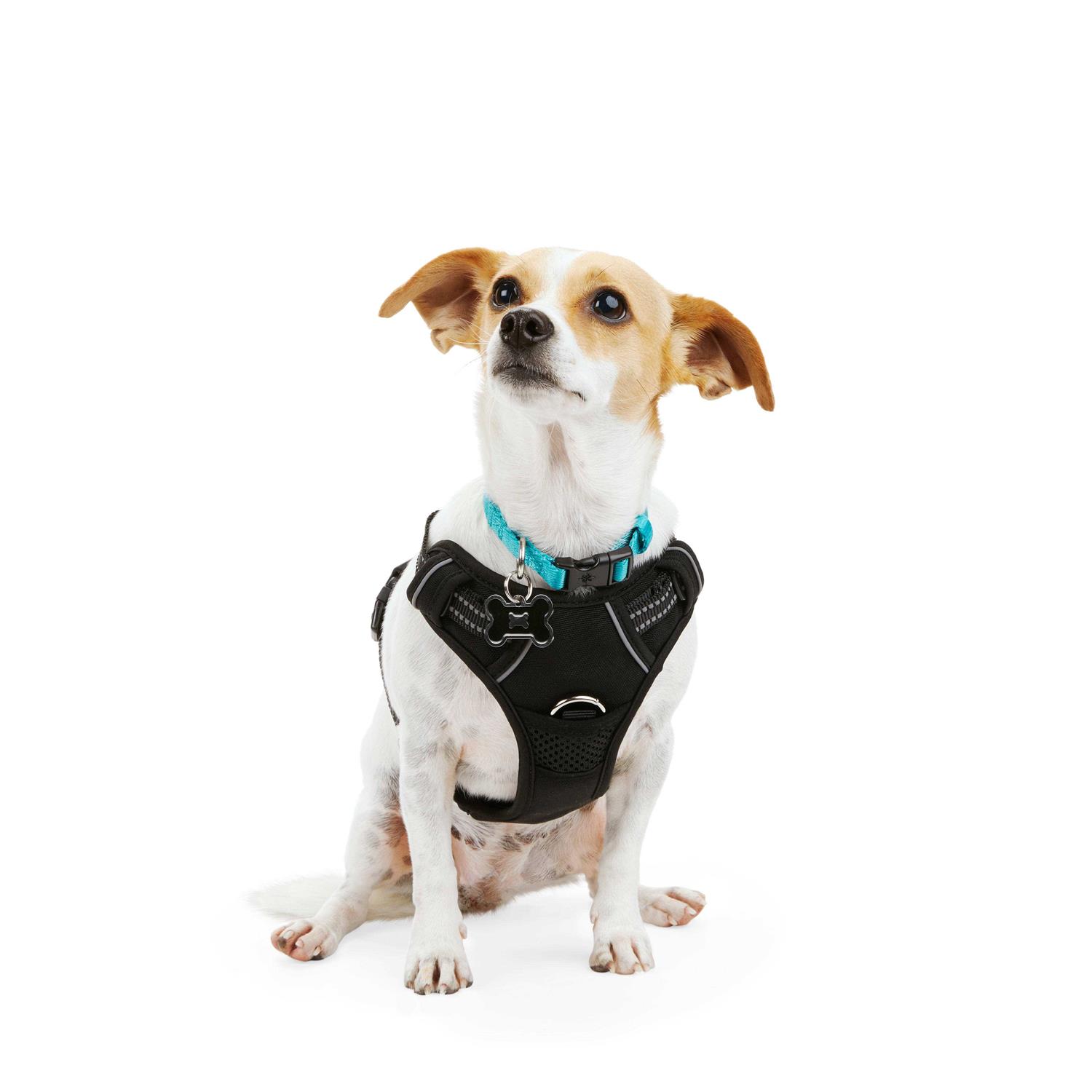 EveryYay Embrace the Pace Black Front Walking Dog Harness