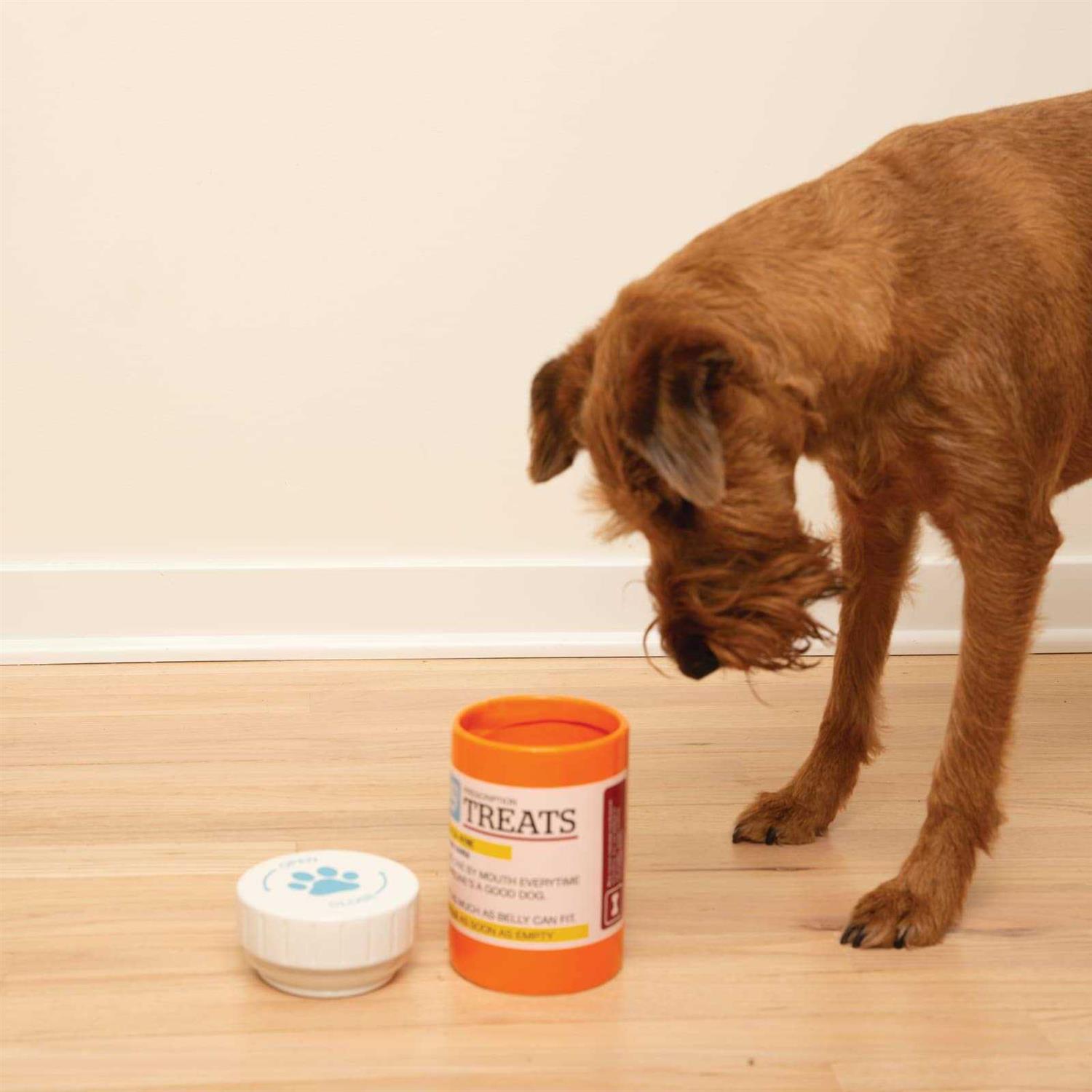 Bigmouth Inc Prescription Treat Jar