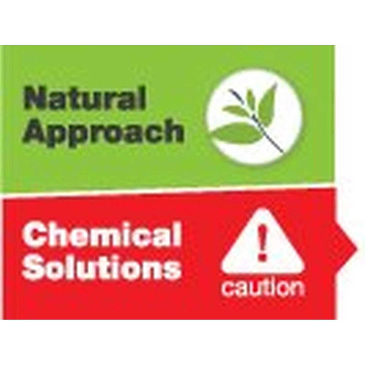 Only Natural Pet All in One Flea Remedy