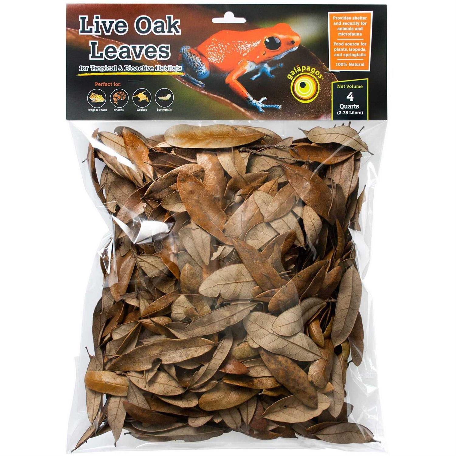 Galapagos 4 qt. Natural Live Oak Leaf Litter