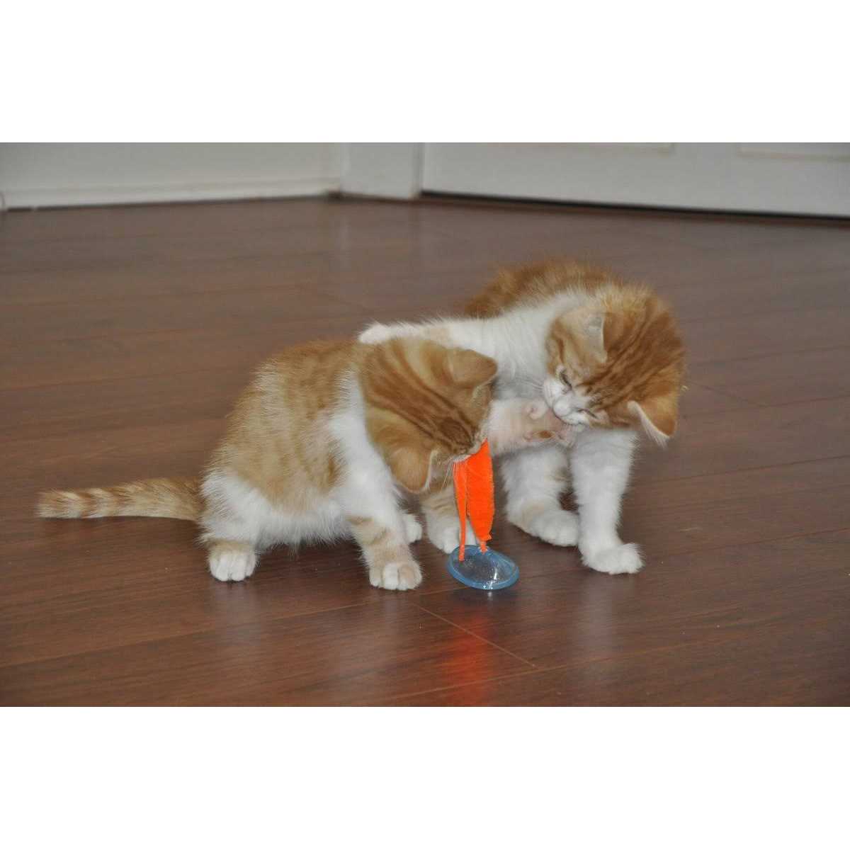 Turbo Tail Popper Cat Toy