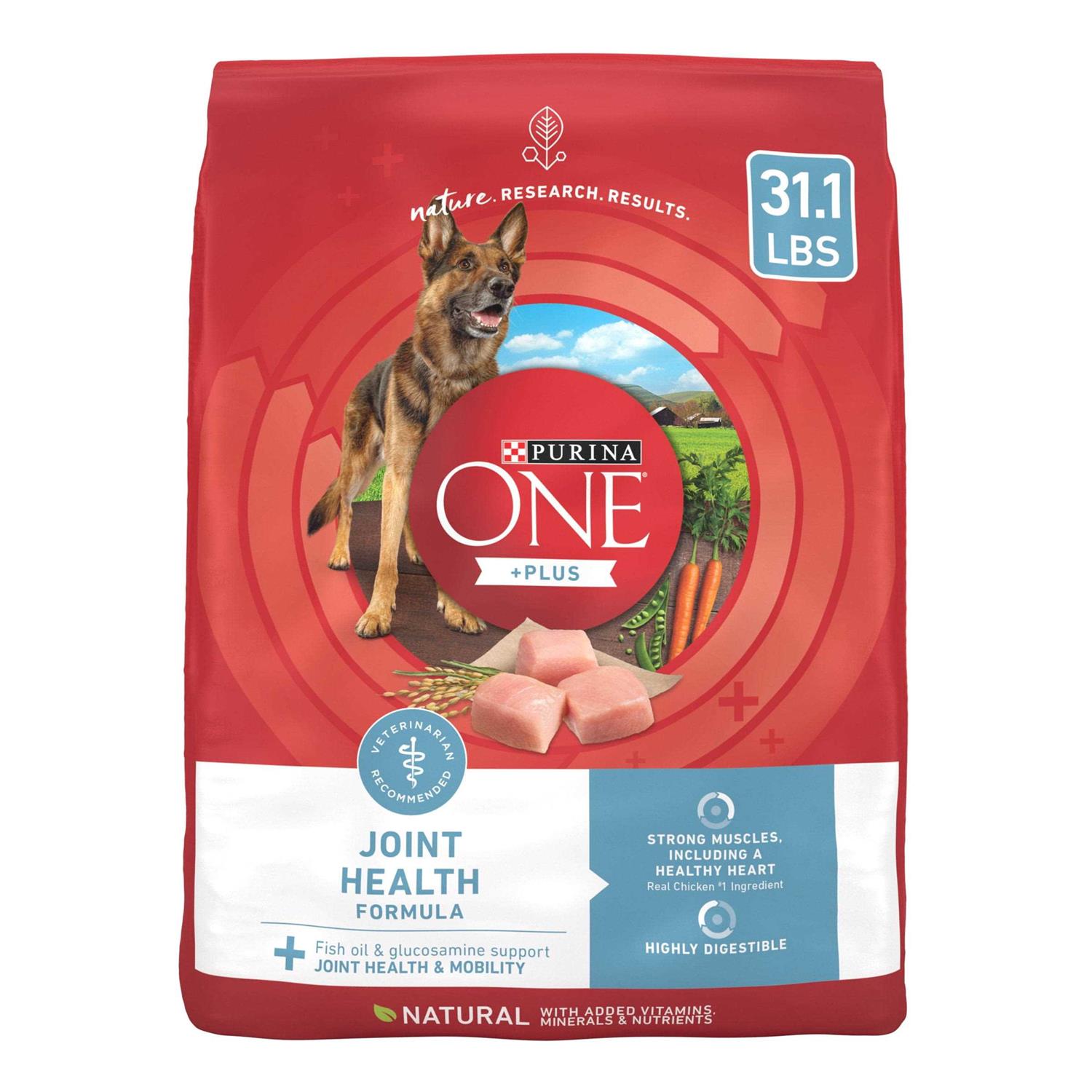 Purina ONE Joint Health Dry Dog Food