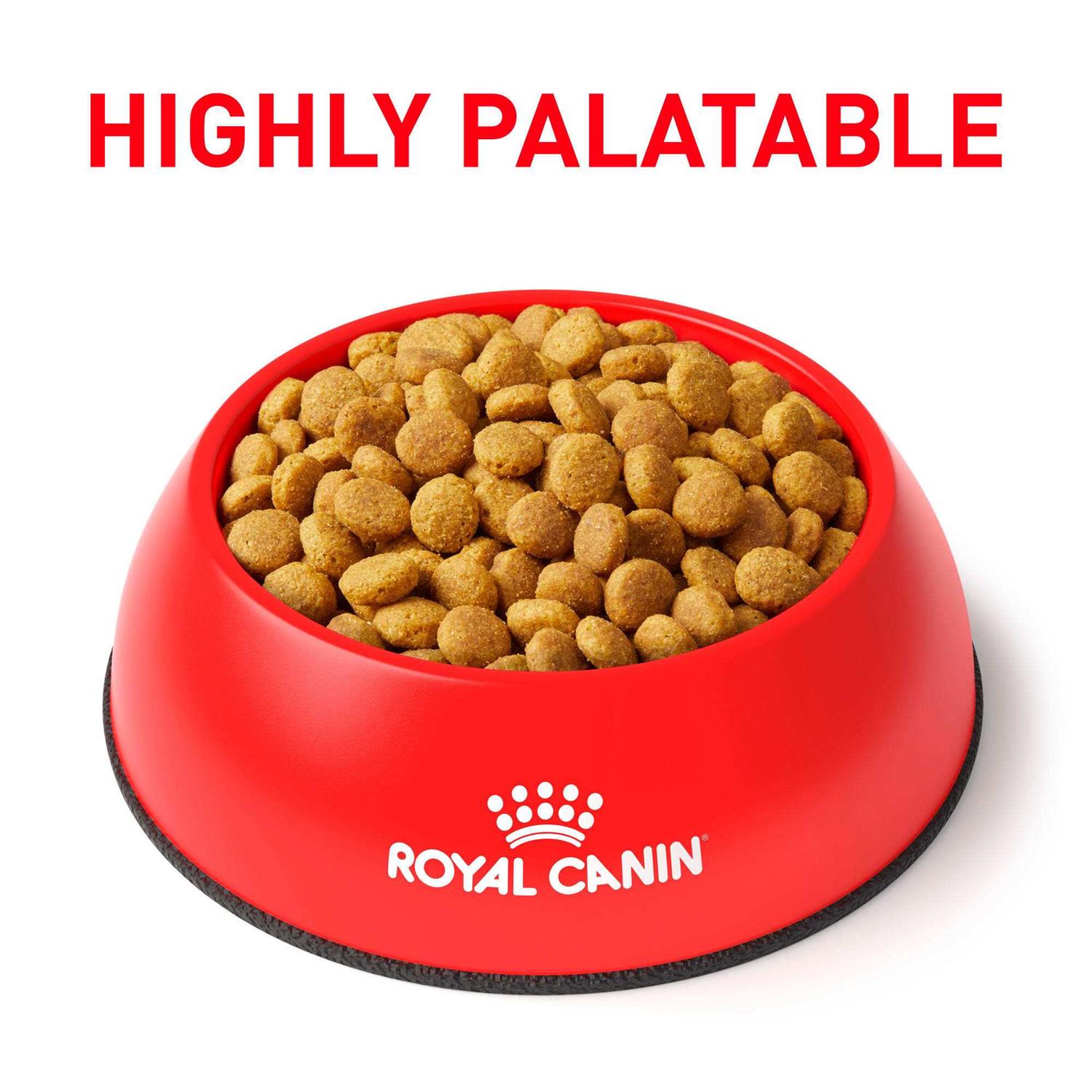 Royal Canin Veterinary Diet Feline Renal Support A Dry Food