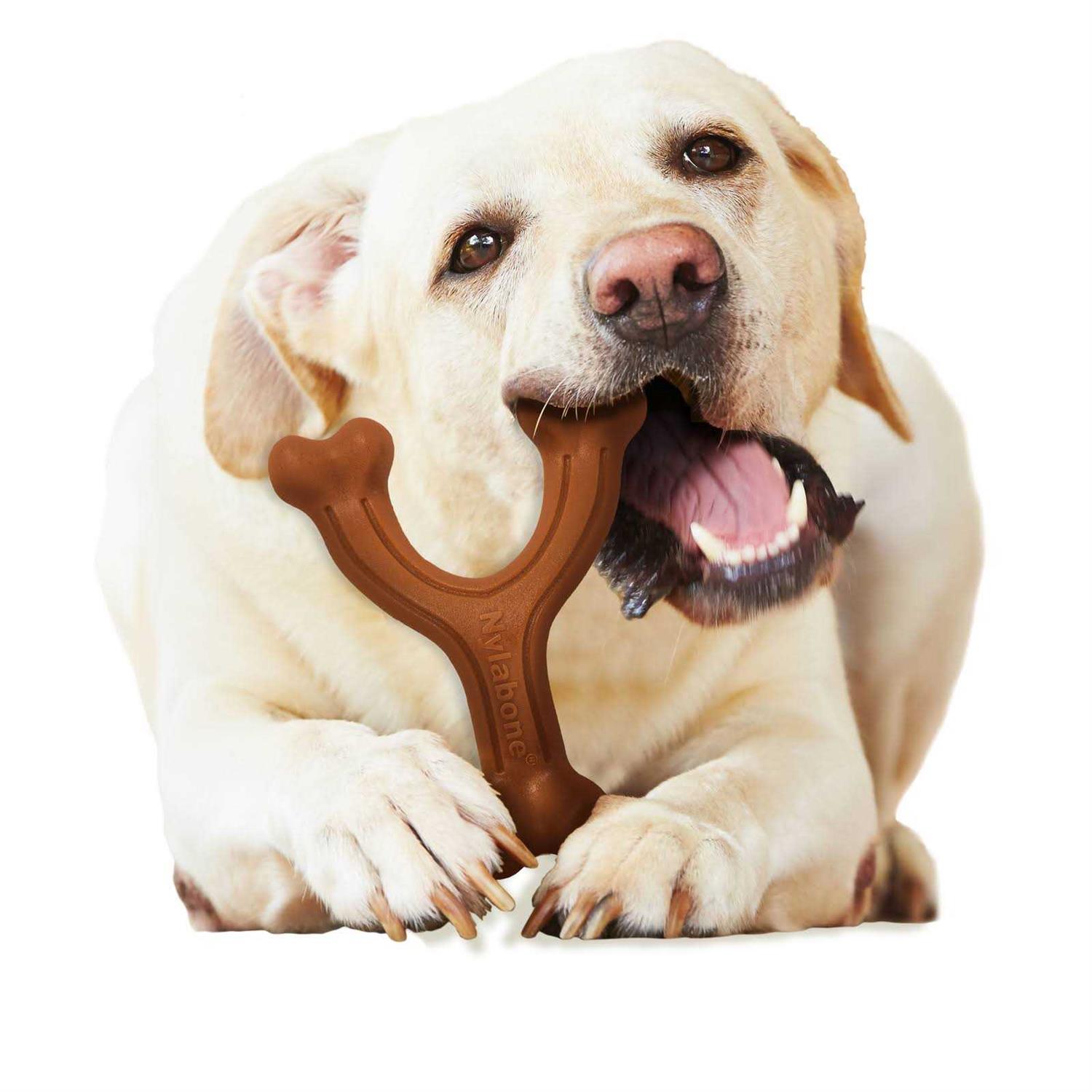 Nylabone Chew Wishbone Power Chew Dog Toy