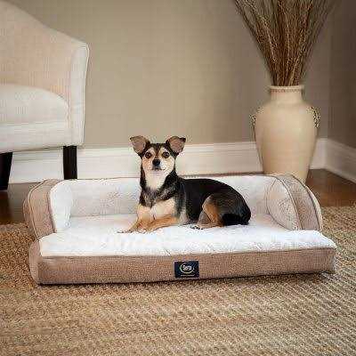 Serta XL Luxury Sleeper Sofa Pet Bed