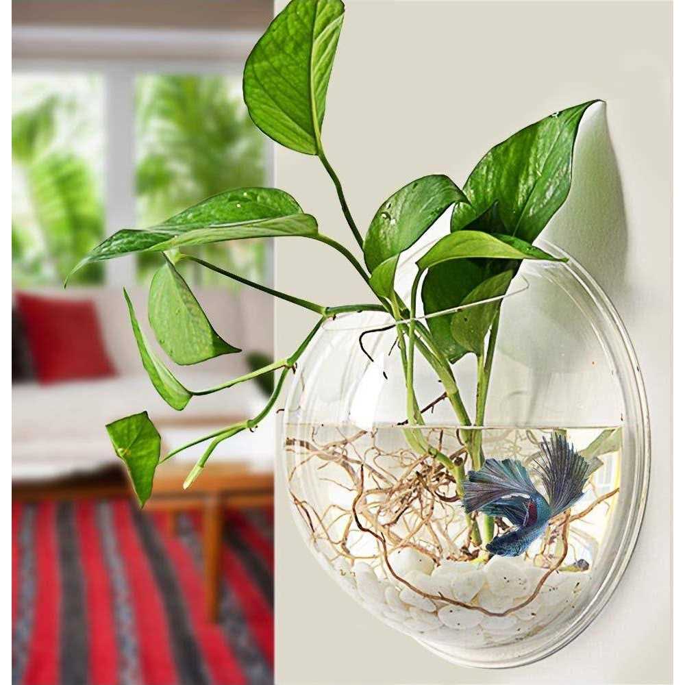 petpetssmart Wall-Hanging Fish Bowl Acrylic Wall-Mounted Plant Pot 1 Gallon Fish Tank 11.5-inches Decoration Planter