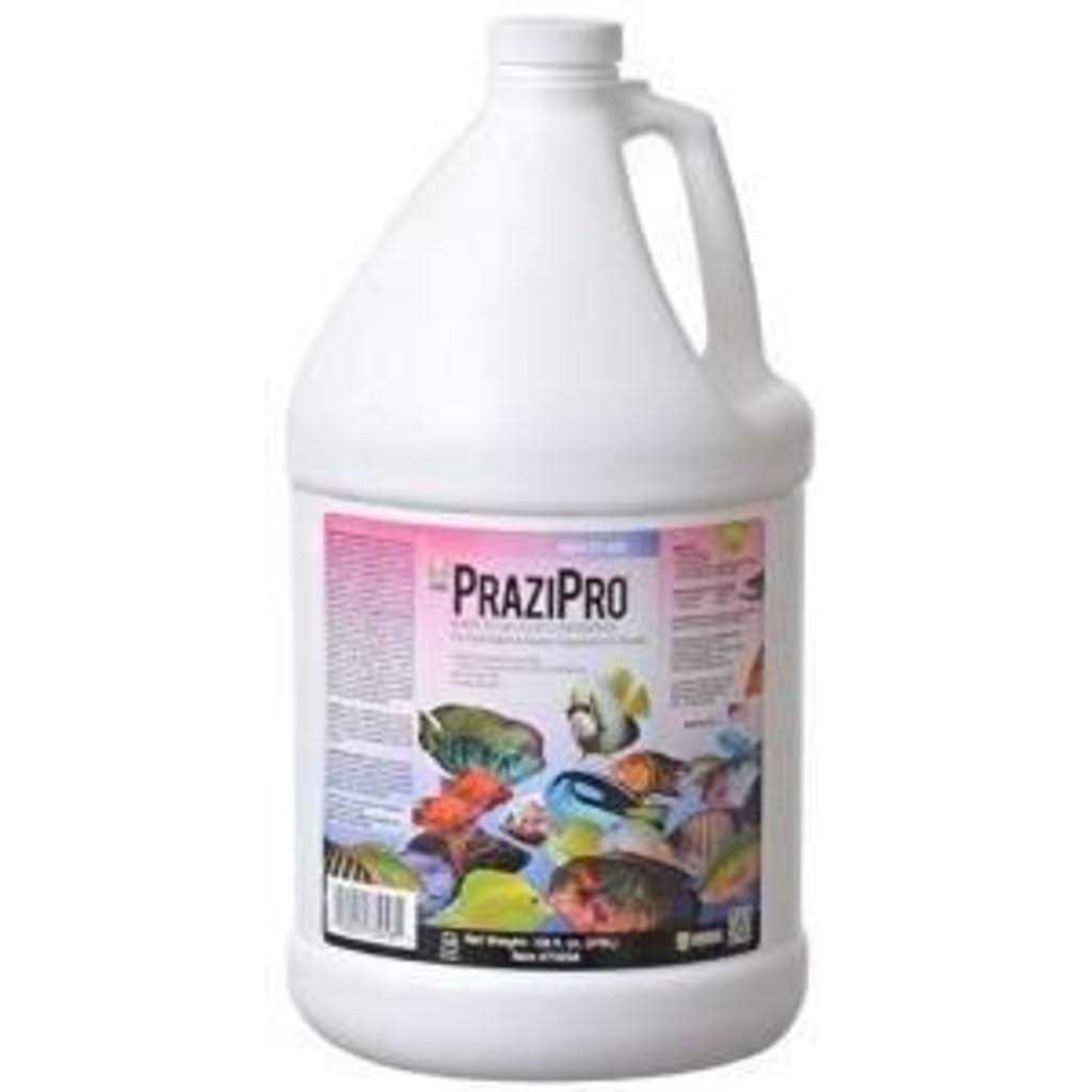 Hikari PraziPro