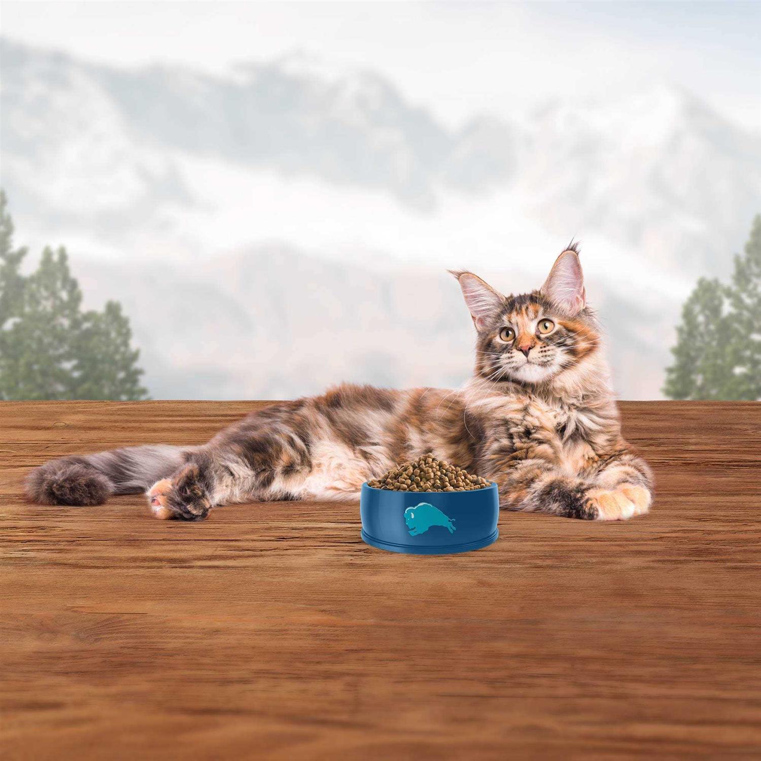 BLUE Wilderness Adult Dry Cat Food
