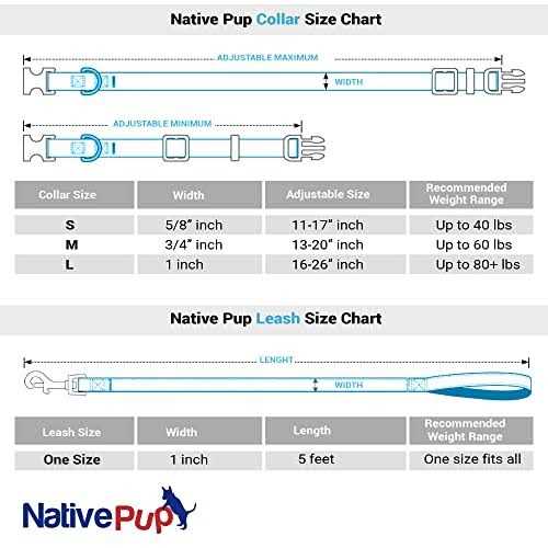 Native Pup Valentines Day Heart Dog Collar