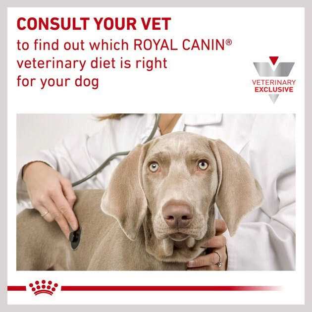Royal Canin Veterinary Diet Adult Hydrolyzed Protein Loaf Canned Dog Food