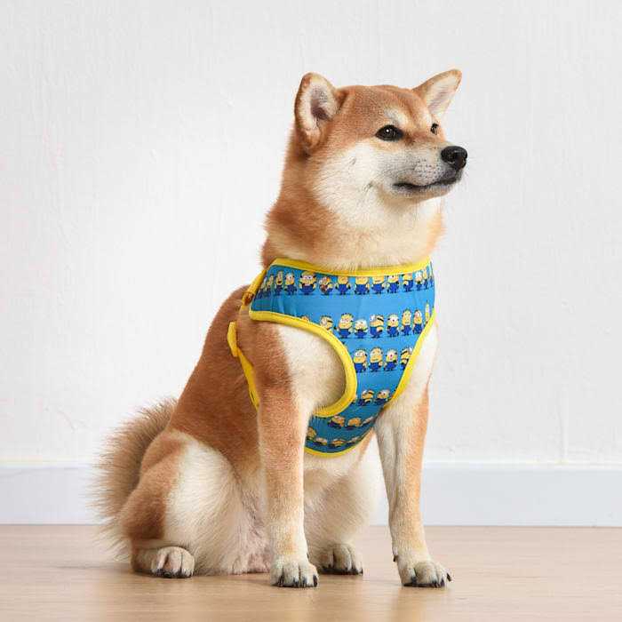 Minions Dog Harness Blue Minions in a Row Comfortable Mesh No-Pull Dog Harness