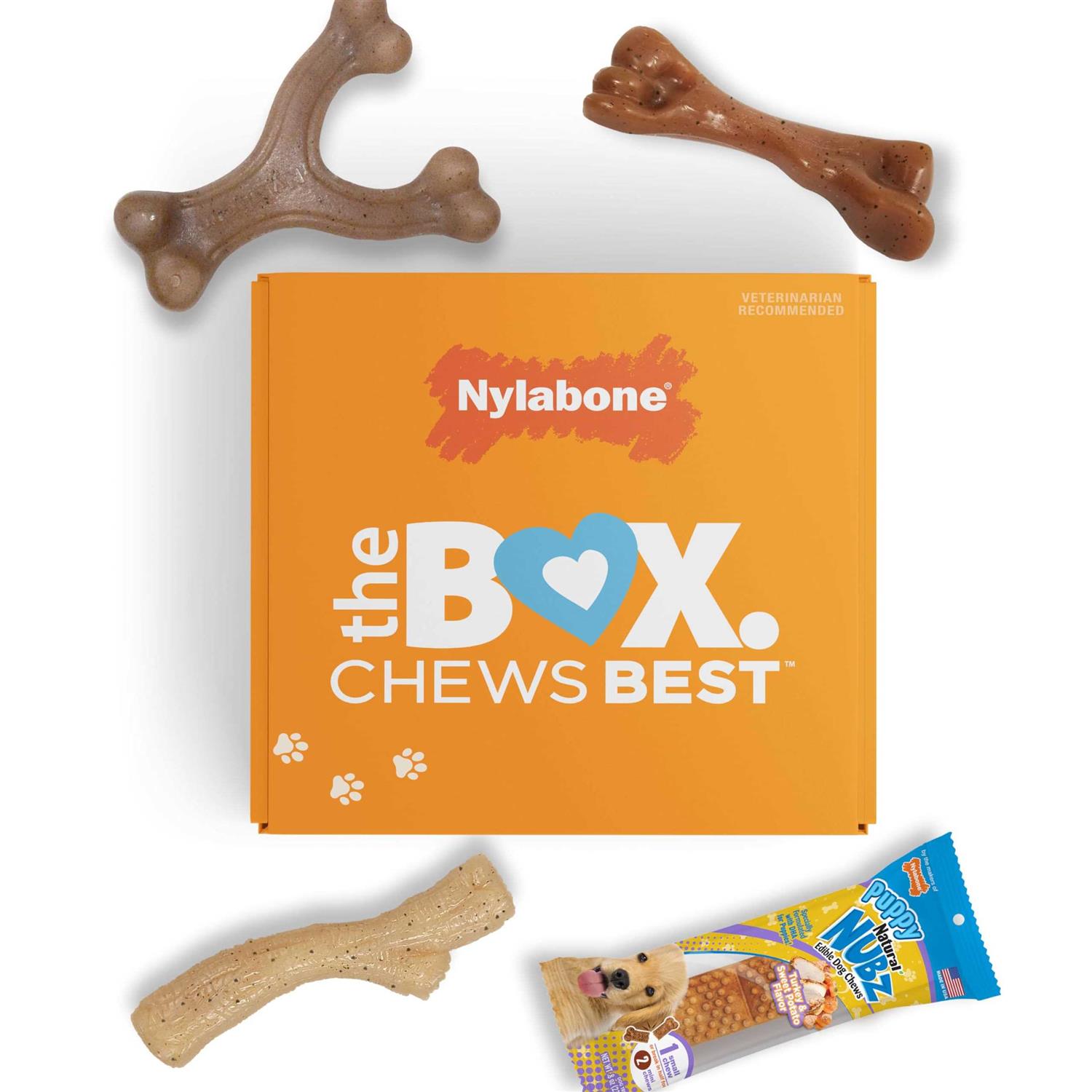 Nylabone The Box Chew Toy & Treat Gift Box Dogs