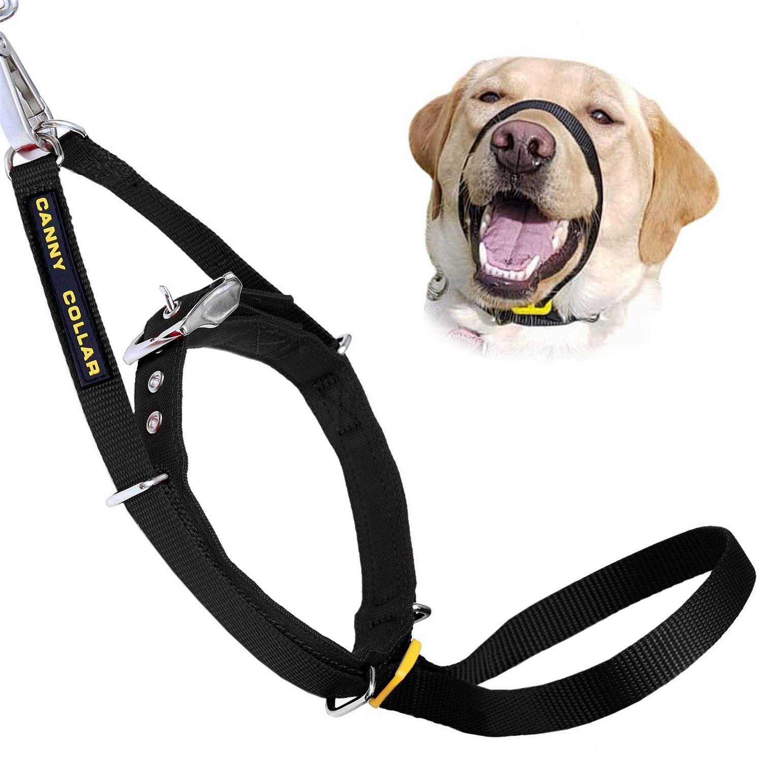 Canny No Pull Padded Dog Training Head Collar