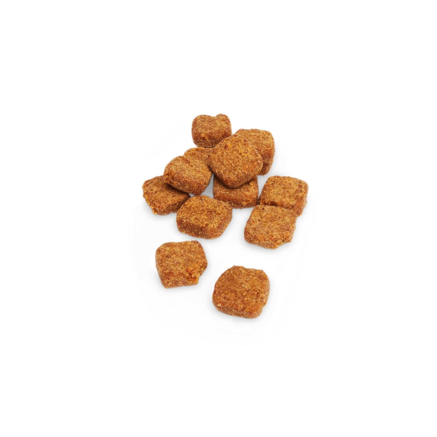 Well & Good Digestive Enzymes with Probiotics Soft Dog Chews