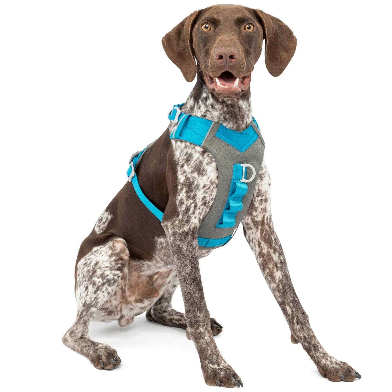 Journey Air Kurgo Dog Harness