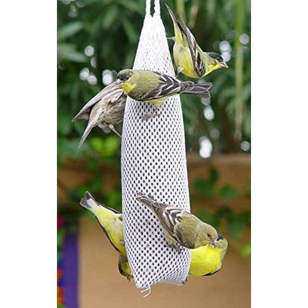 Premium New Feeder Sock Filled with Fresh Thistle Seeds for Wild Birds