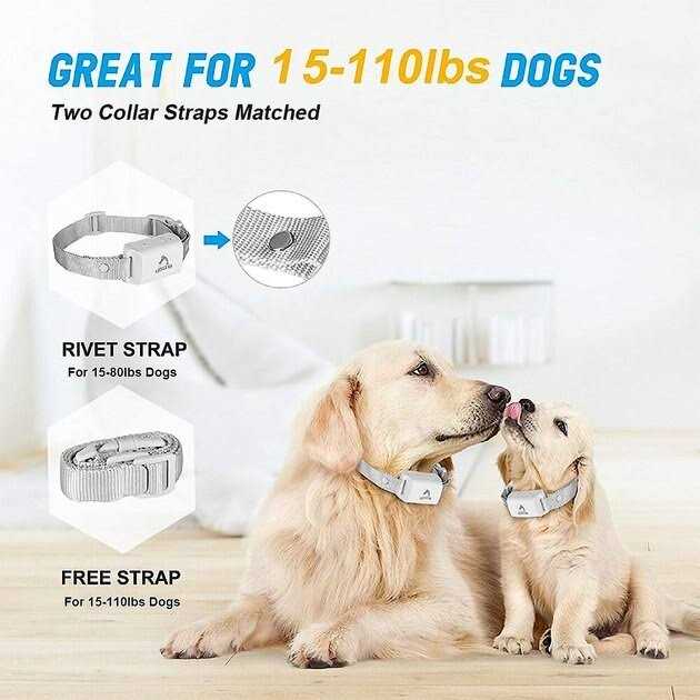 PATPET A01 Anti-Bark Training Dog Collar