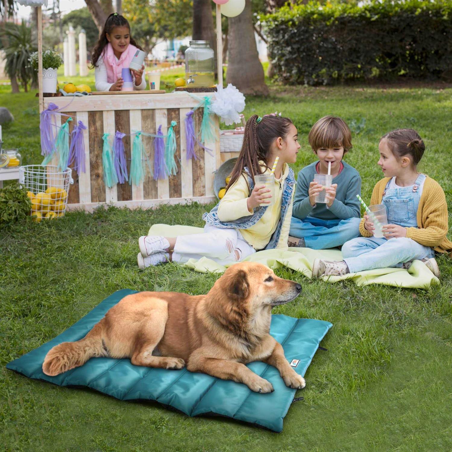 Go Gear by Max & Marlow Portable Waterproof Roll Up Dog Mat Bed