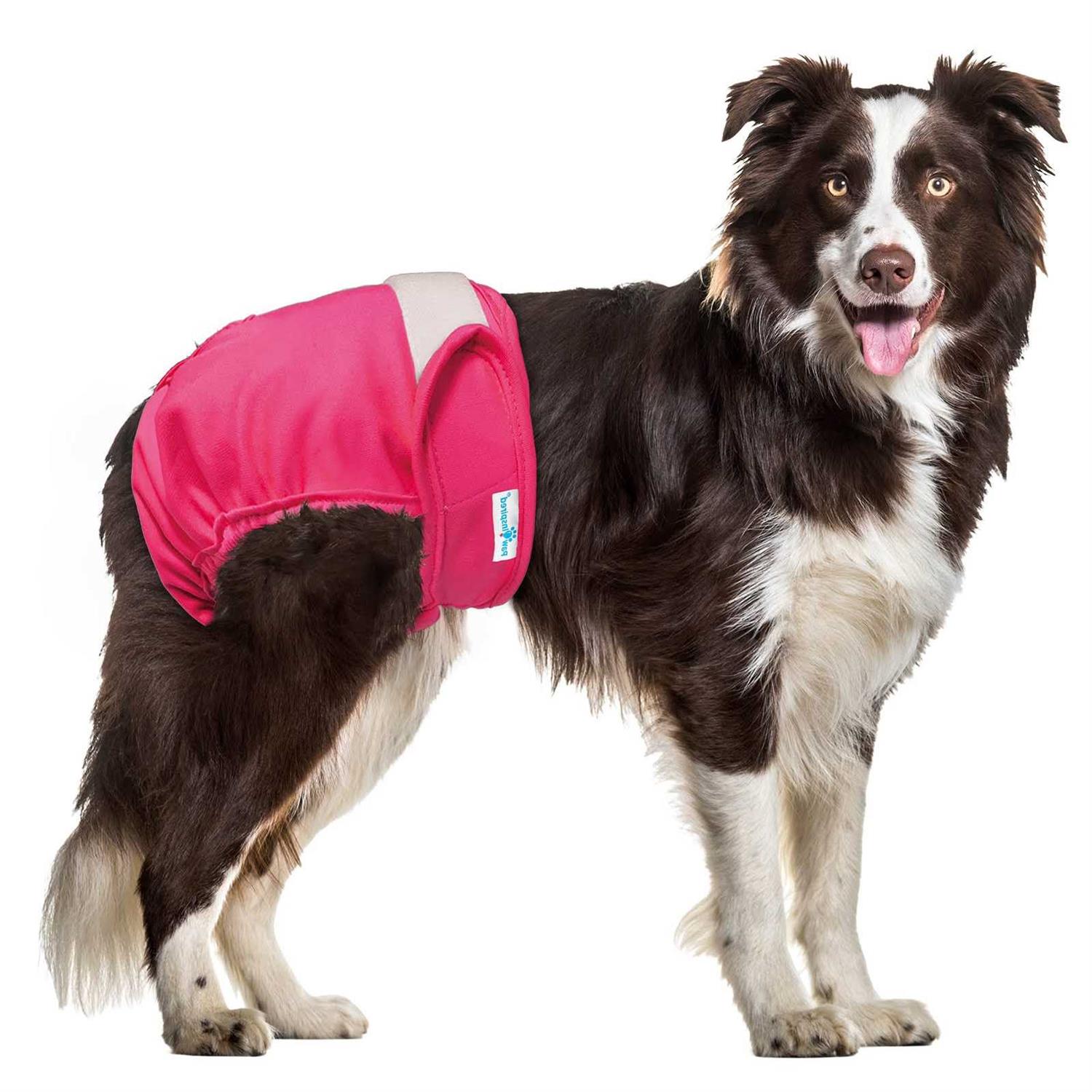 Paw Inspired Washable Dog Diapers Reusable Dog Diapers Female Dog Diapers