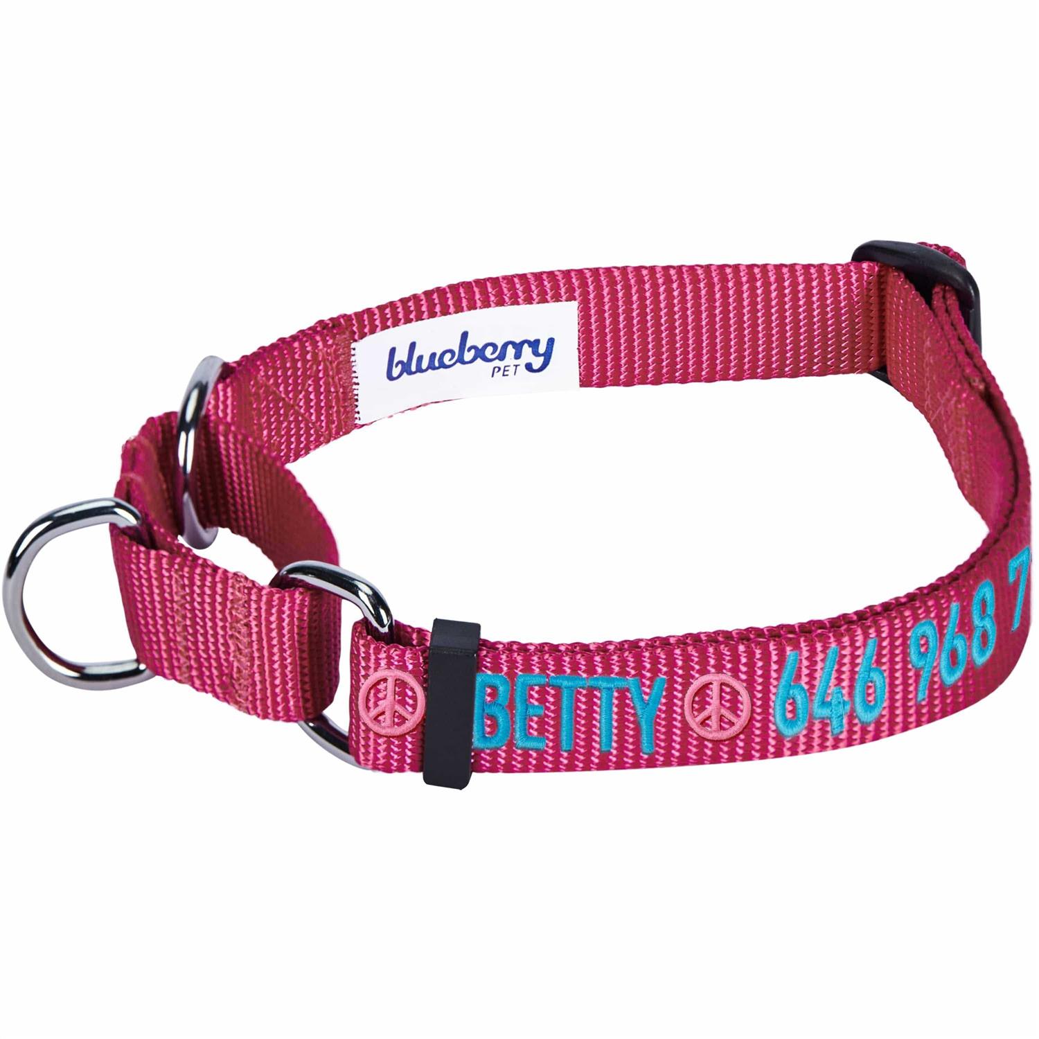 Blueberry Pet Martingale Safety Training Dog Collar
