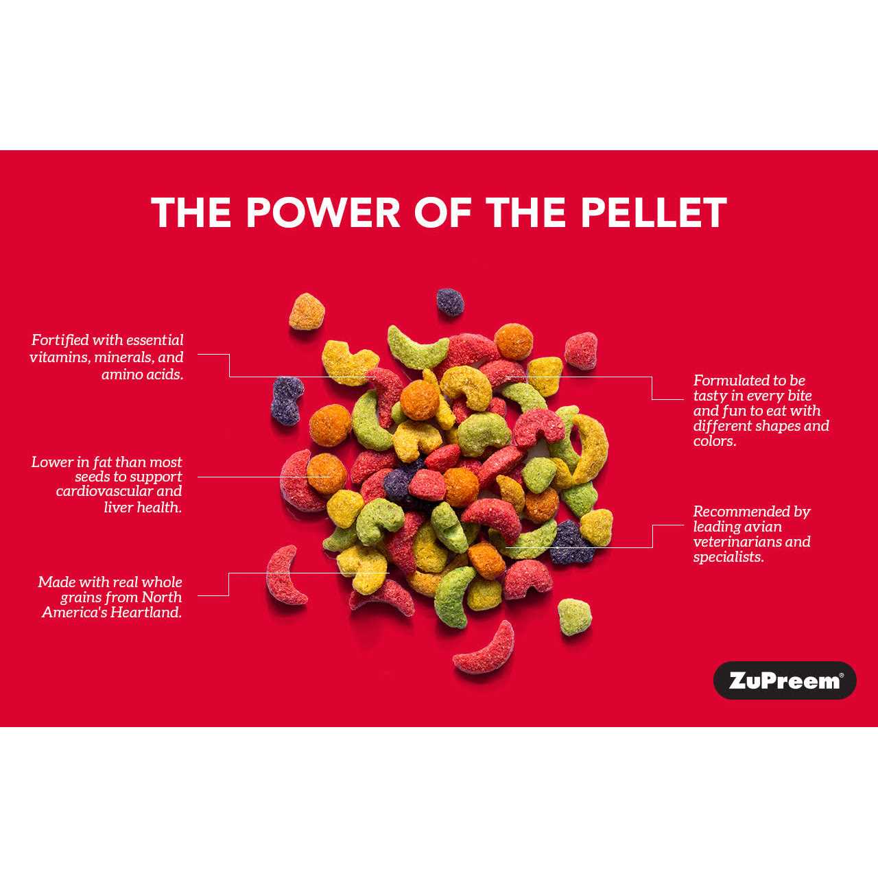 Zupreem Natural Bird Food