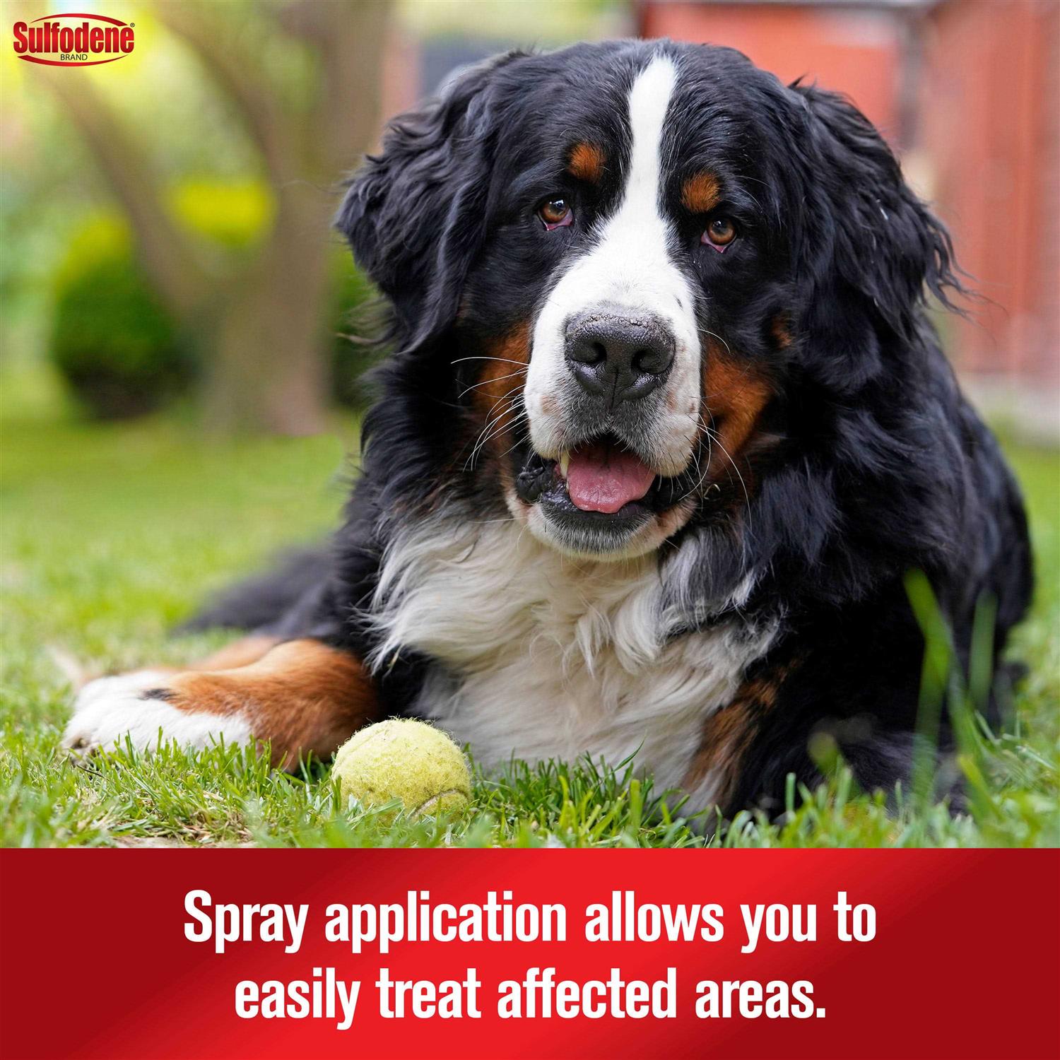 Sulfodene Hot Spot & Itch Relief Medicated Spray