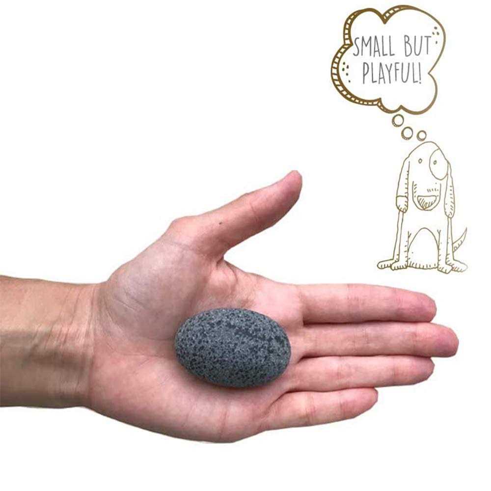 Pet Rock The Original by Gary Dahl