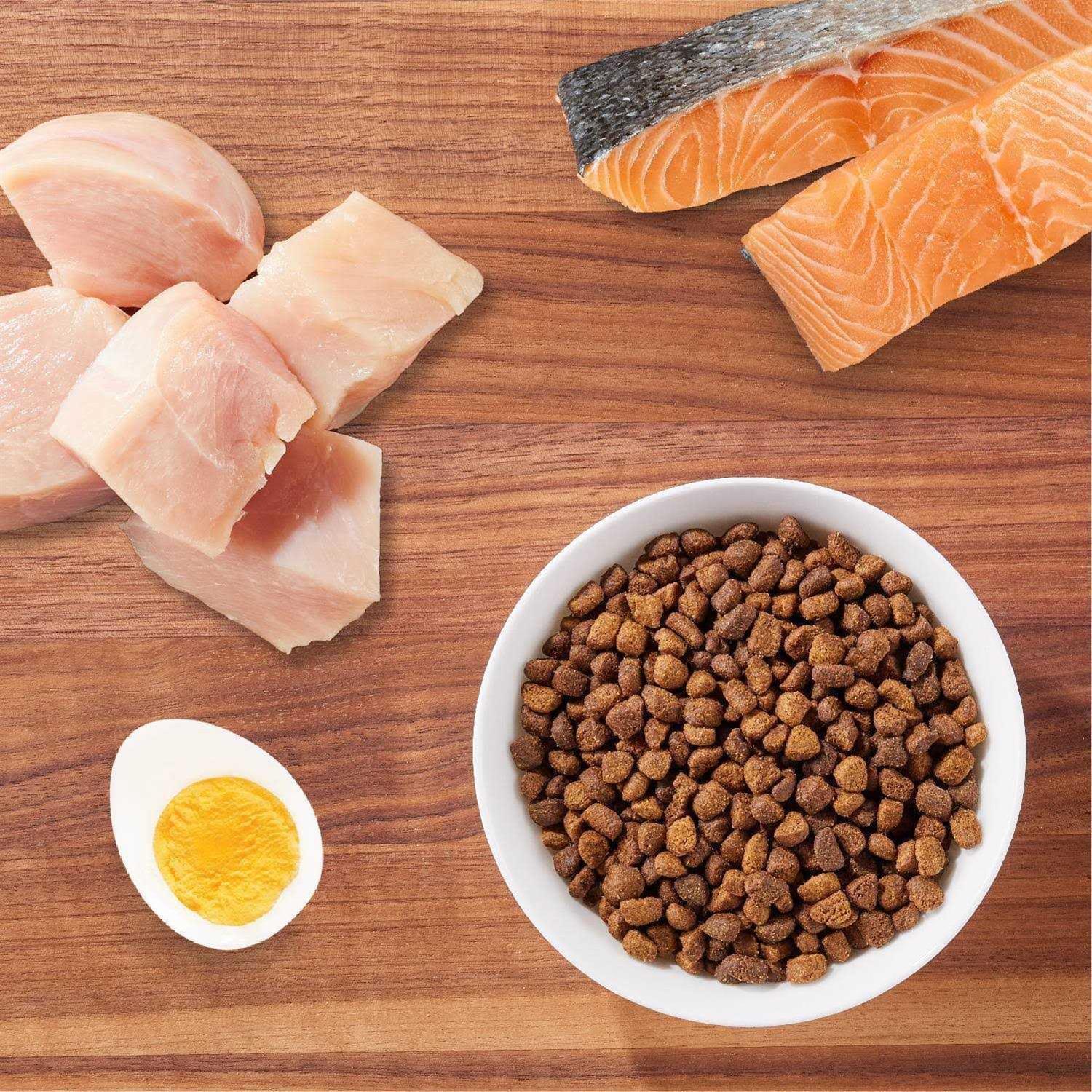 Iams Proactive Health Care Salmon Adult Dry Cat Food