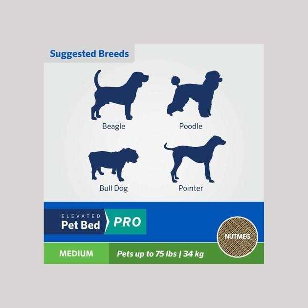 Coolaroo Cooling Elevated Pet Bed Pro