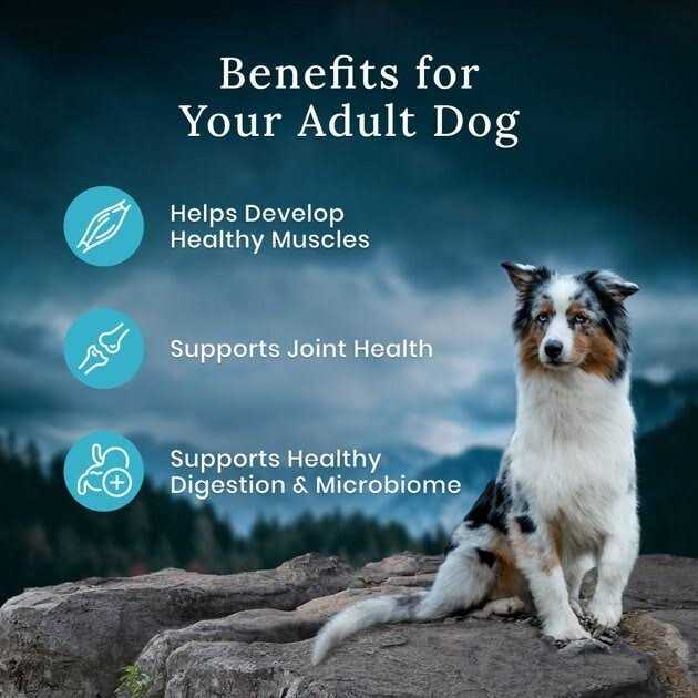 Blue Buffalo Wilderness Premier Blend Adult Natural Meaty Cuts Salmon Dry Dog Food