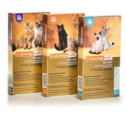 Advantage Multi Topical Solution for Cats, 9.1-18 lbs, 6 treatments, 80 mg Imidacloprid and 8 mg Moxidectin