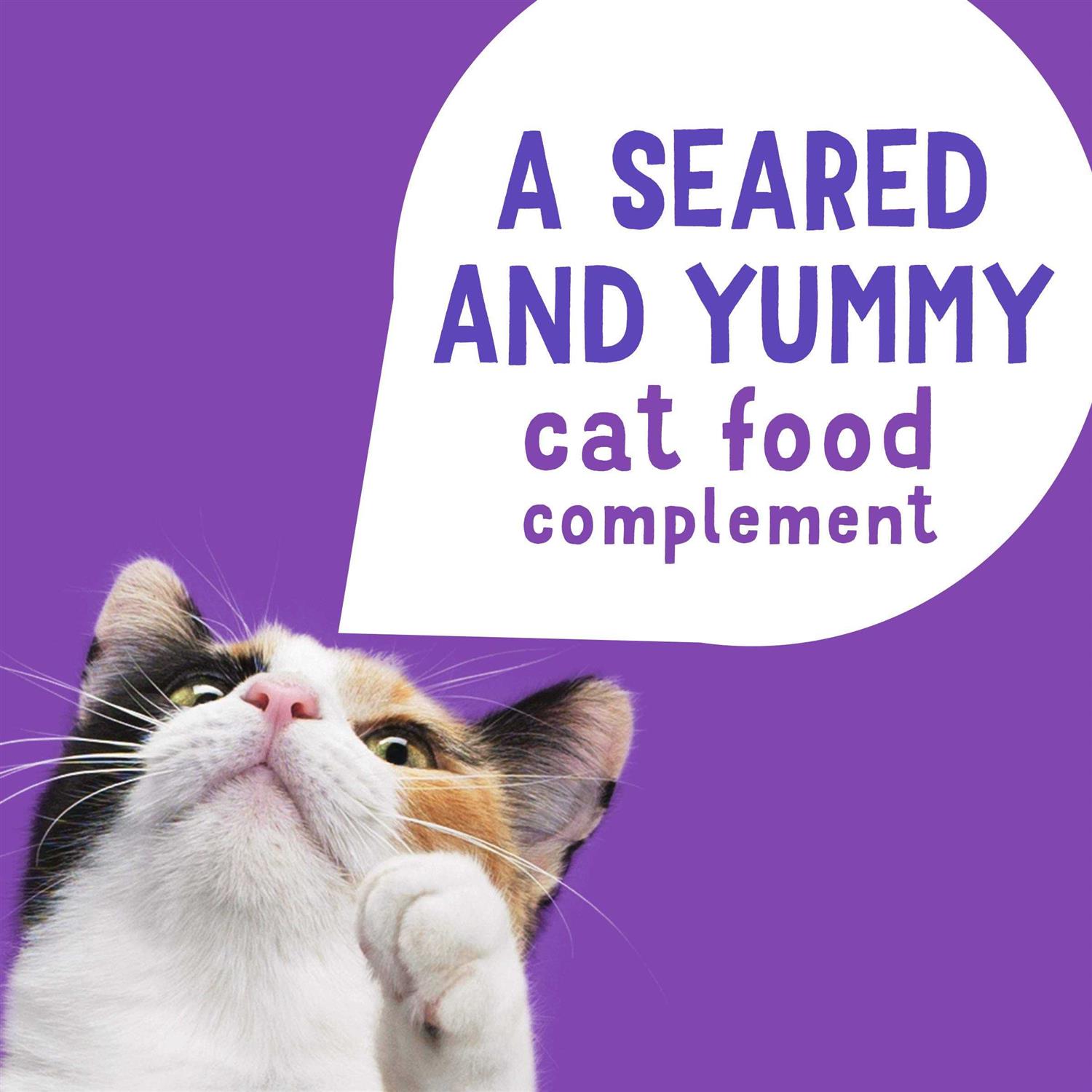 Friskies Lil Grillers Seared Cuts Gravy Wet Cat Food