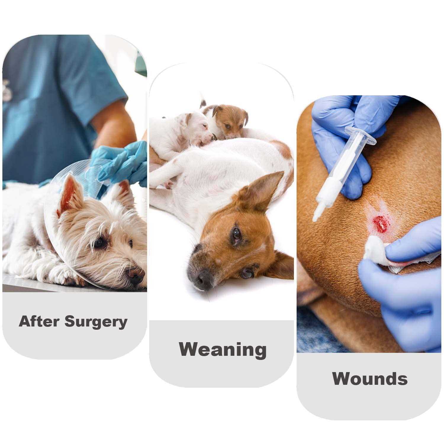 Due Felice Dog Diapers Sanitary Panties Doggy Period Onesie Bodysuits Pet Recovery Suit After Surgery Wear for Male and Female Dogs