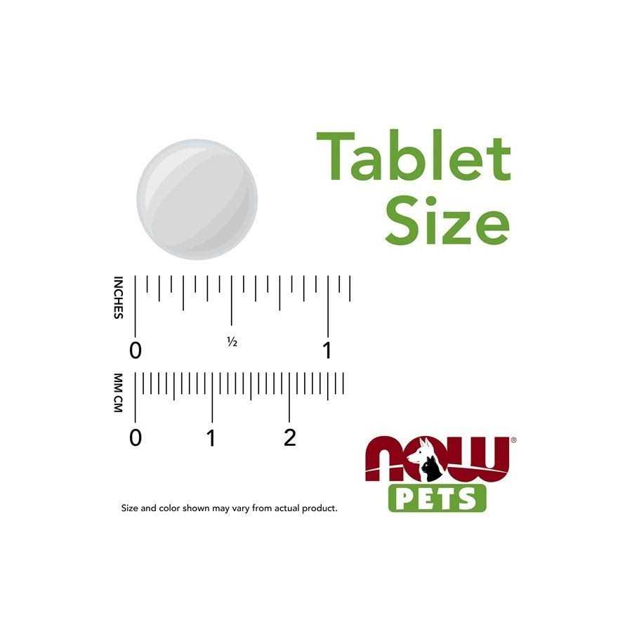 Now Pets Weight Management for Dogs