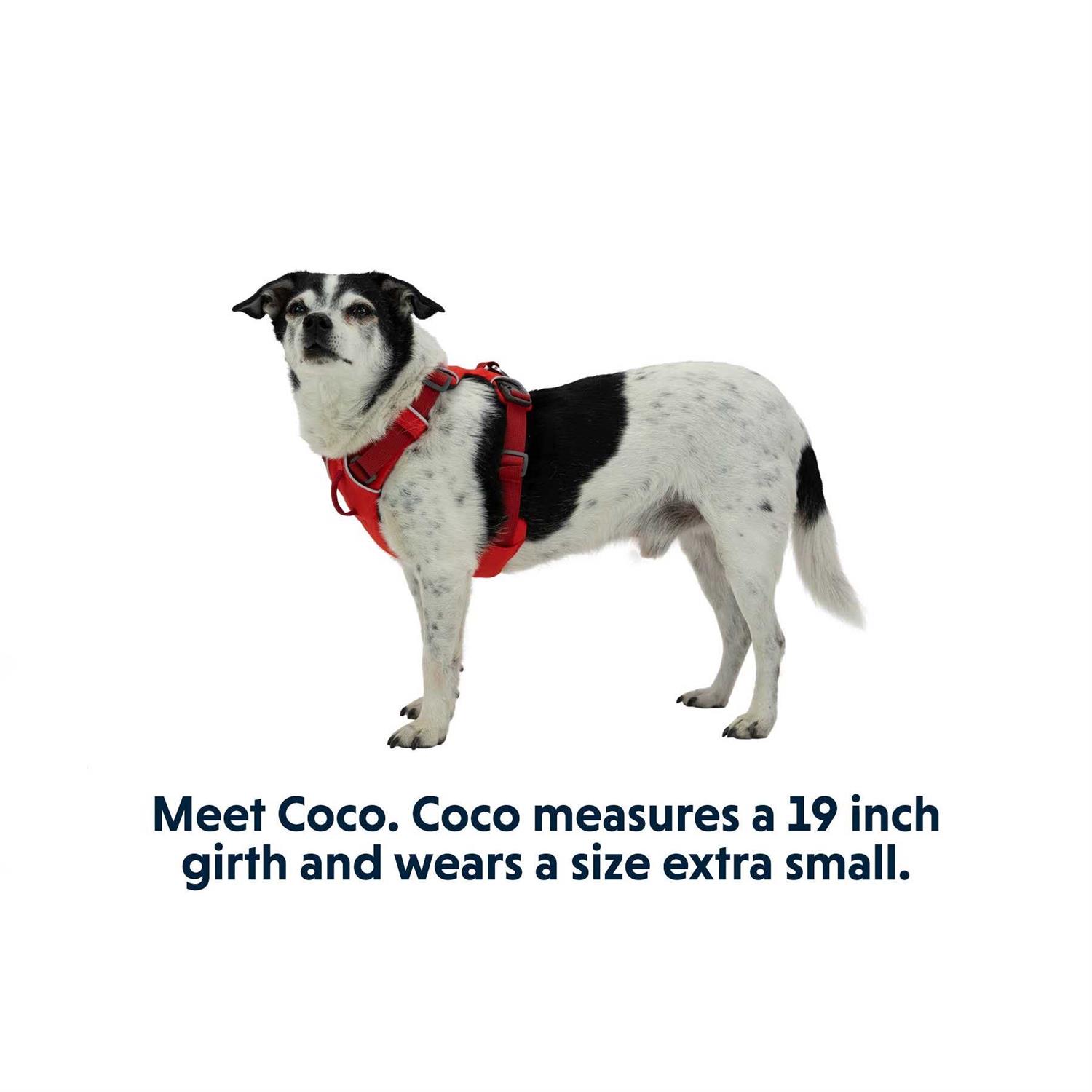 Front Range Harness Ruffwear