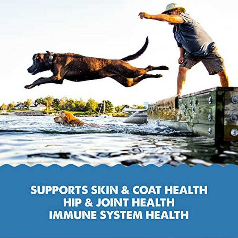 Grizzly Omega Health Liquid Omega-3 Supplement for Dogs