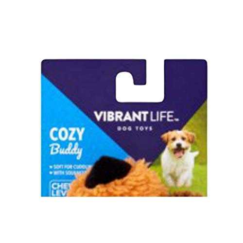 Vibrant Life Cozy Buddy Floppy Dog Toy