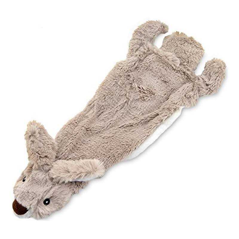 Best Pet Supplies 2-in-1 Stuffless Squeaky Dog Toys with Soft, Durable Fabric for Small