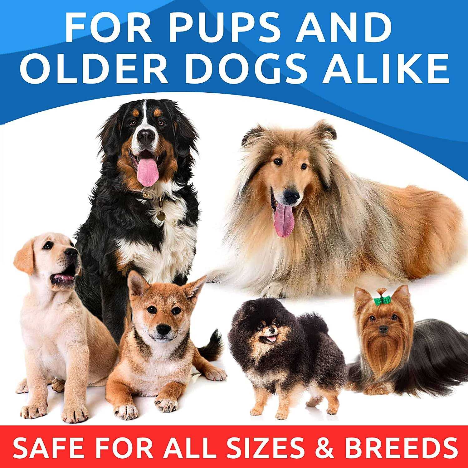 Bark&Spark Omega Dogs Oil