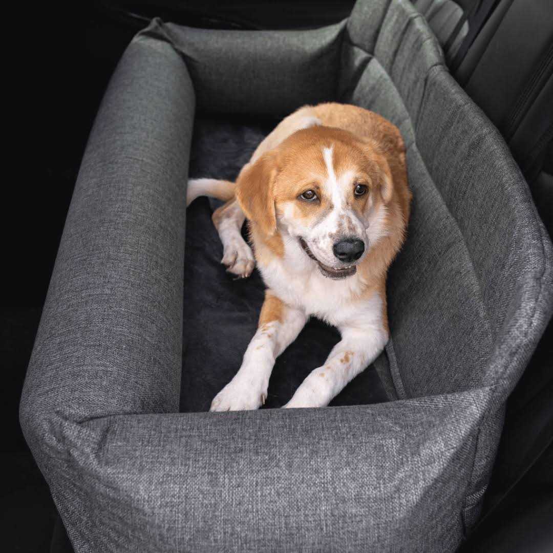 Paw PupProtector Memory Foam Dog Car Bed Gray Full Back Seat