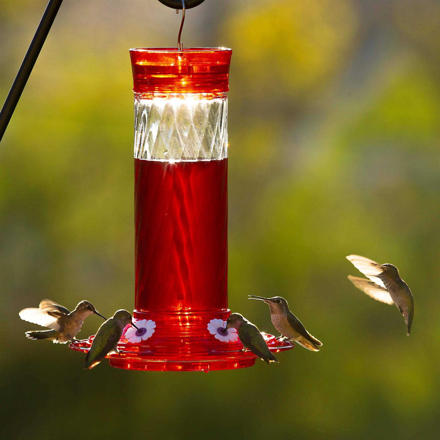 More Birds Health Plus Ready to Use Hummingbird Nectar Natural